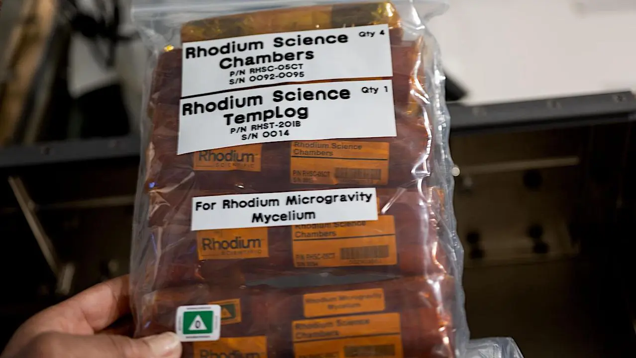 Offworld-Life-ScienceRhodium