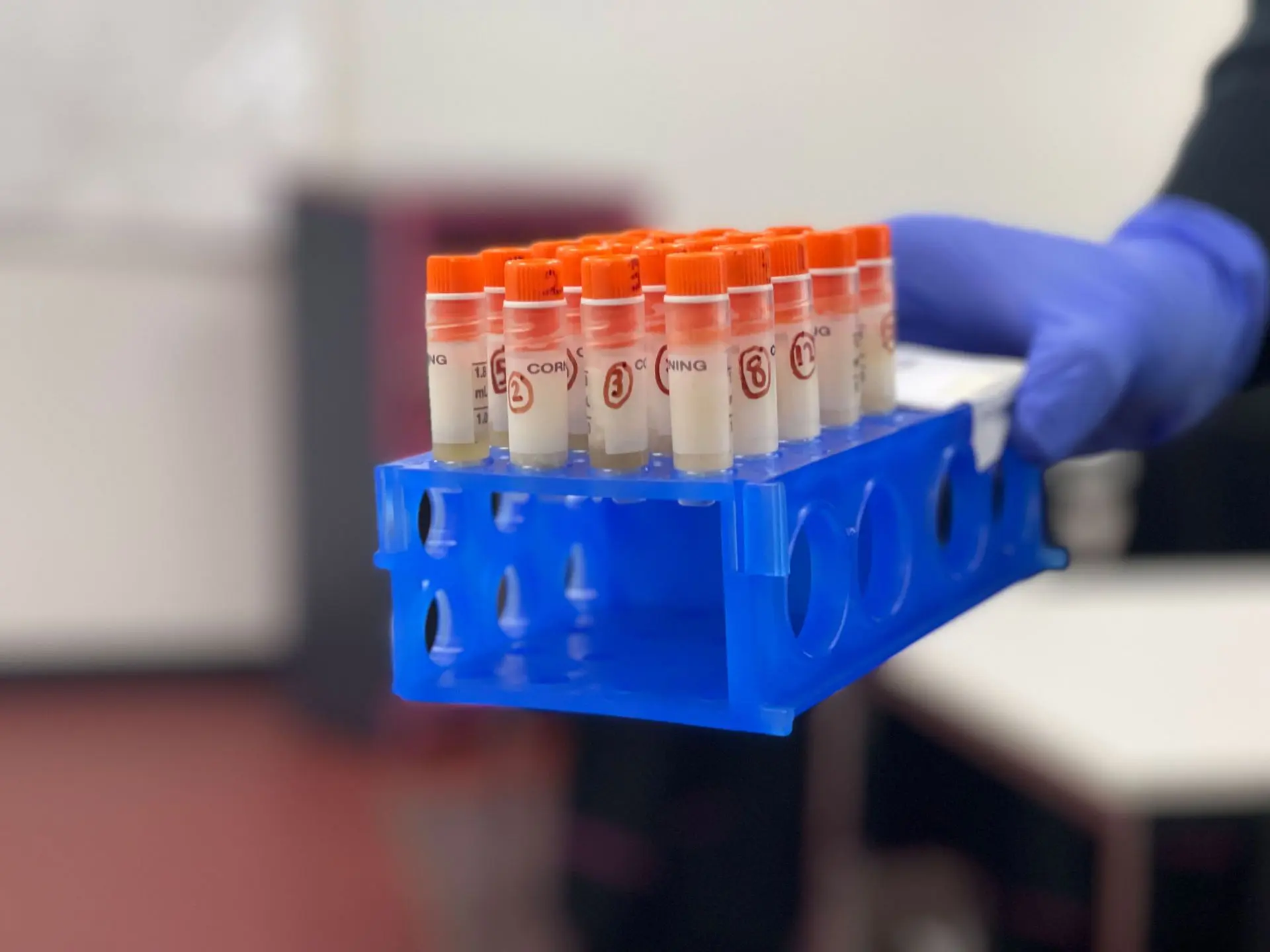 cq5dam.web.2560.1440 (2)