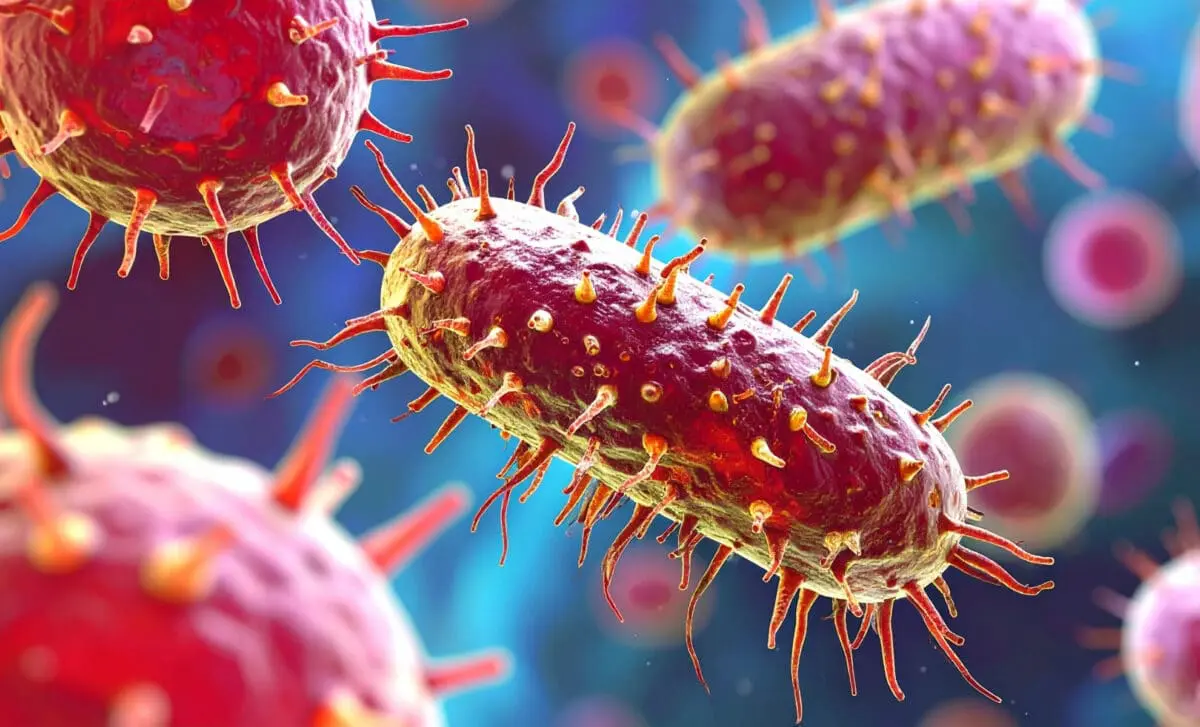 microscopic-view-of-bacterial-cells-1-scaled