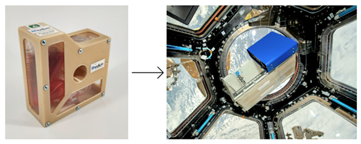 processed-image-5-update