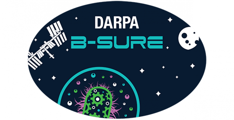 darpa-bsure-619
