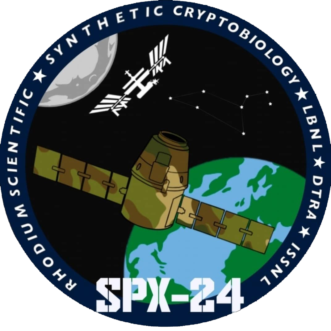 Space mission patch with satellite and Earth.