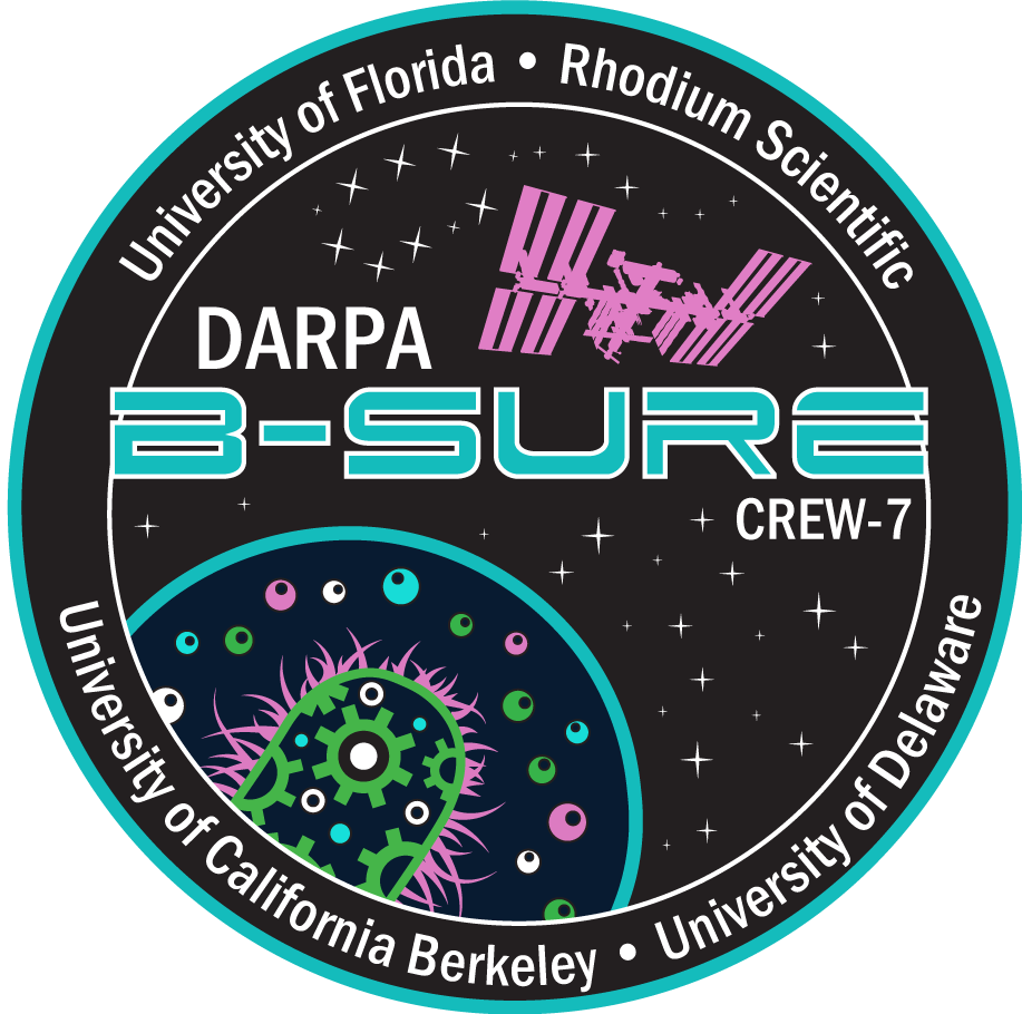 DARPA B-SURE Crew-7 mission patch design.