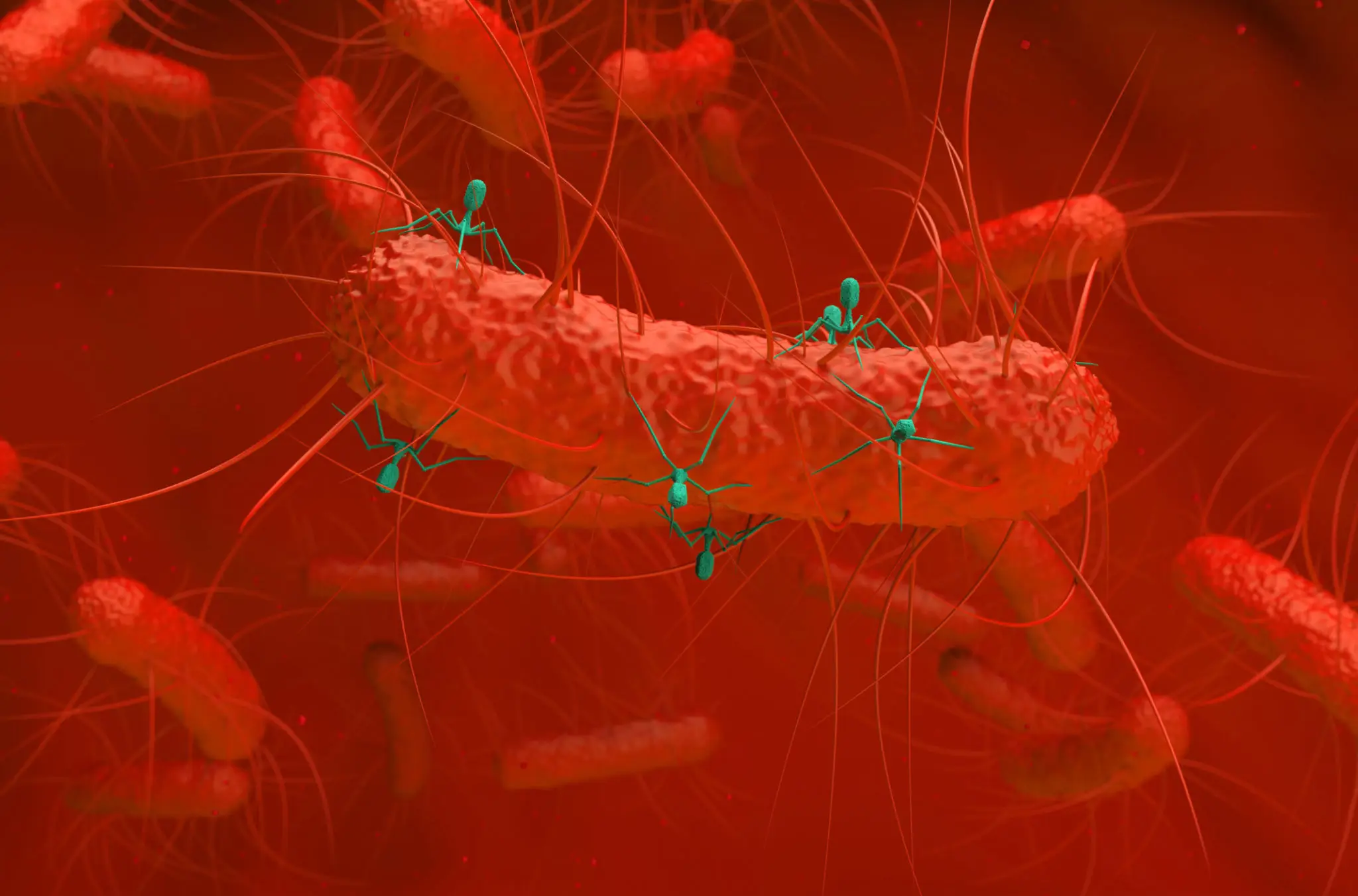 a2507510-1db9-4f0e-b1a7-43fc56b6ddab