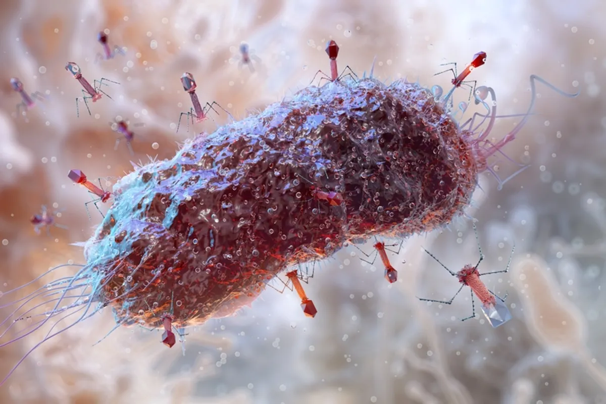 bacteriophages-attacking-e-coli-x