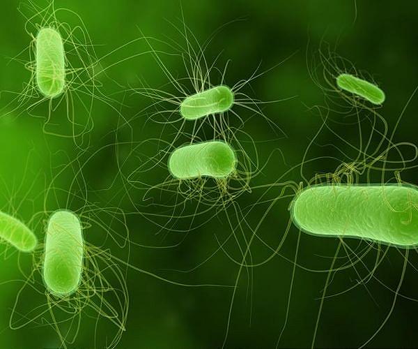 biofuel-e-coli-bacteria-alter-protein-structure-hg