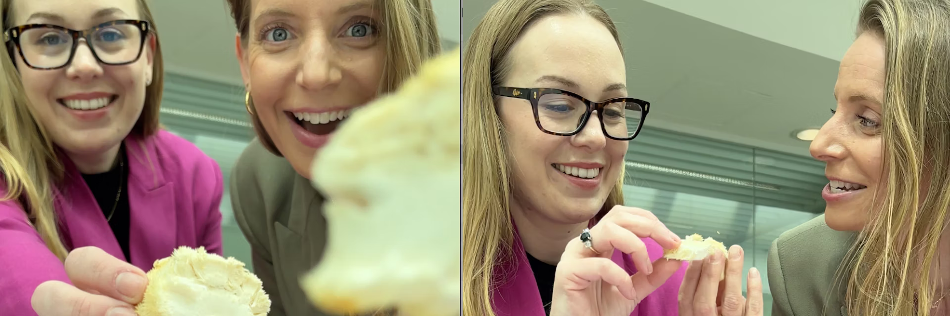 file-20260129-56-76ytdl