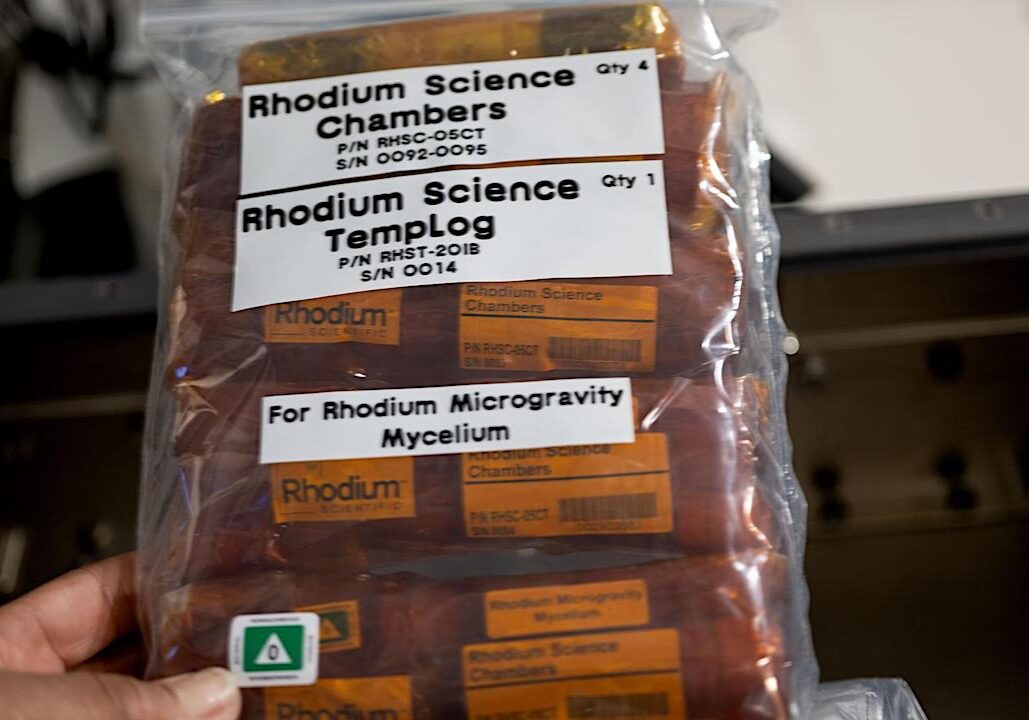 Offworld-Life-ScienceRhodium