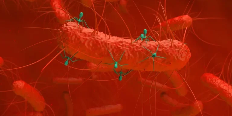 a2507510-1db9-4f0e-b1a7-43fc56b6ddab