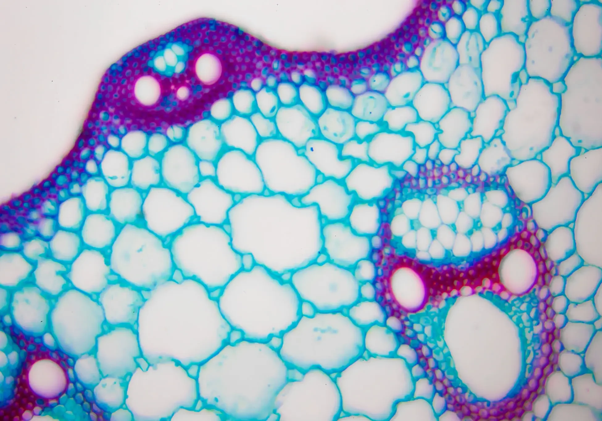 b7b125f2-0b1d-42a2-88fd-7ae04a92837e