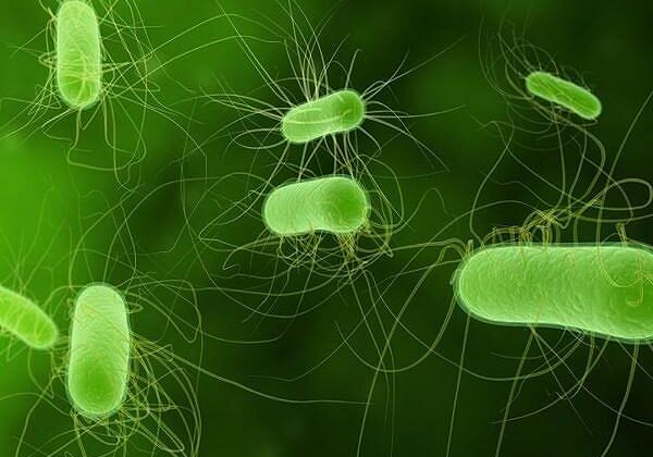 biofuel-e-coli-bacteria-alter-protein-structure-hg