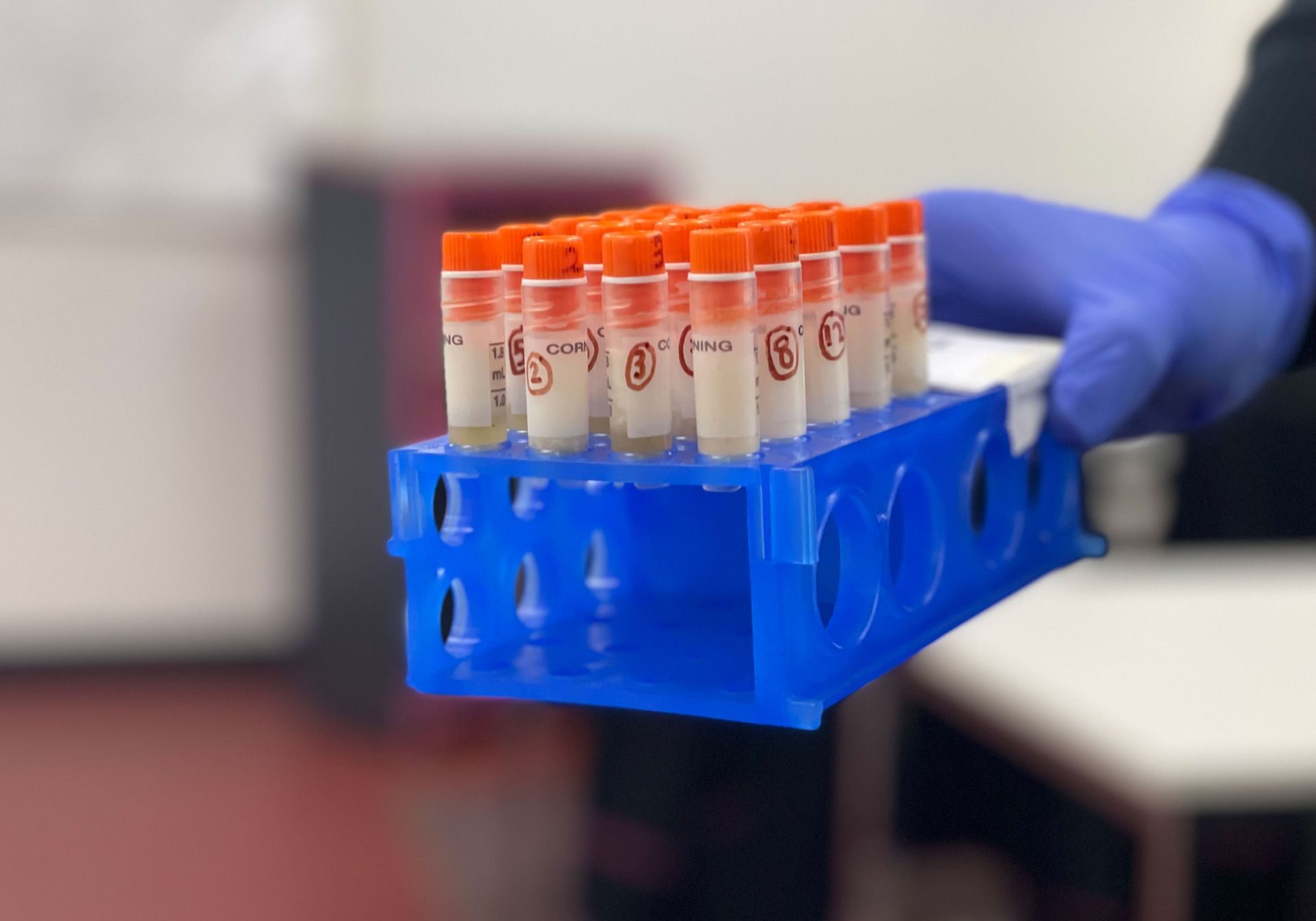 cq5dam.web.2560.1440 (2)