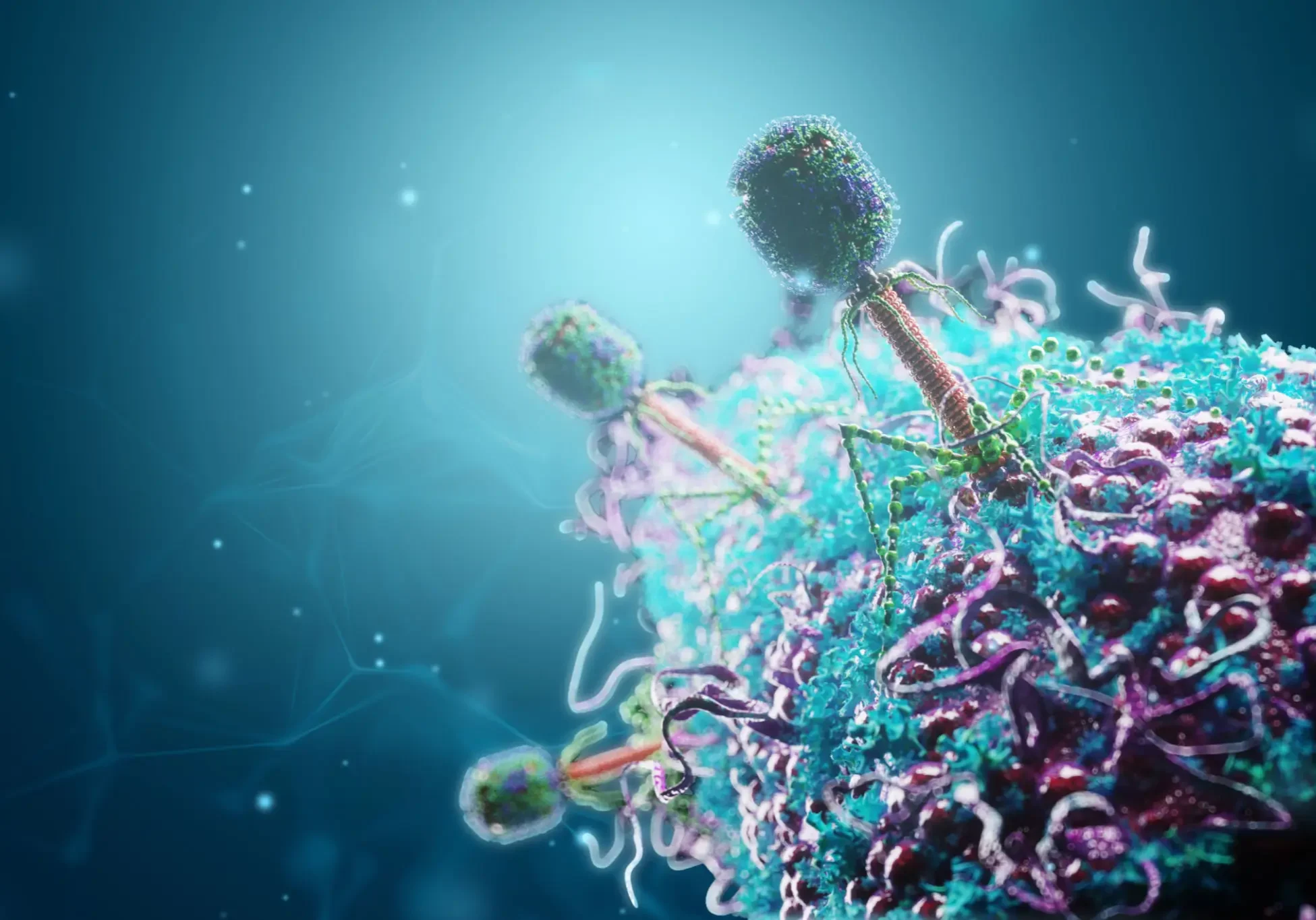 d1b8ba31-5245-4e74-8a2d-c1365ad72579